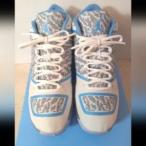 Jordan Shoes Jordan 29 Xxix Gift Of Flight Pantone Size 85 24